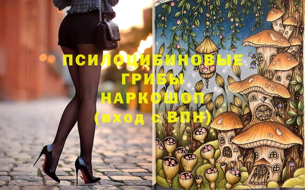 МДПВ Лиски