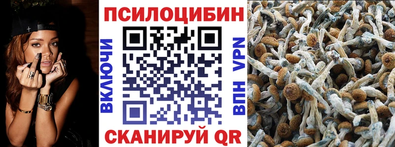 Псилоцибиновые грибы Psilocybe  купить наркотики сайты  Никольское 